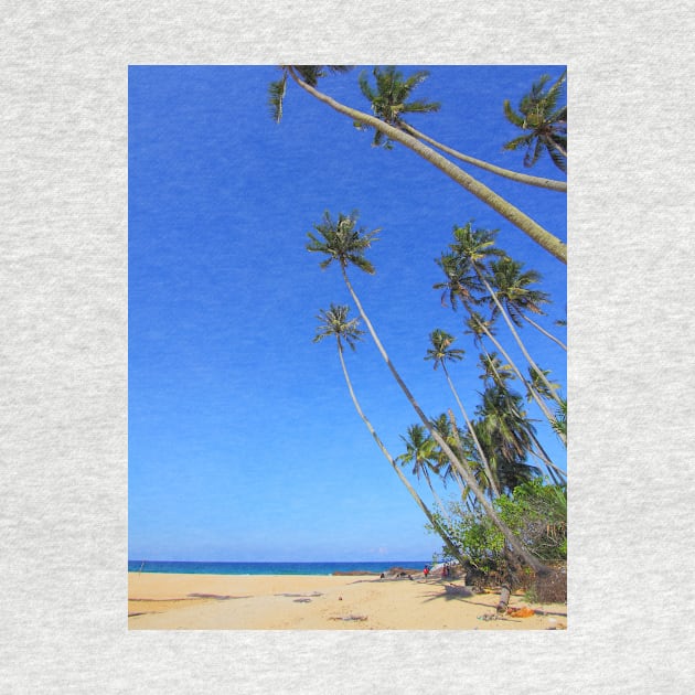 palm tree by the beach best beach picture by à la mode !